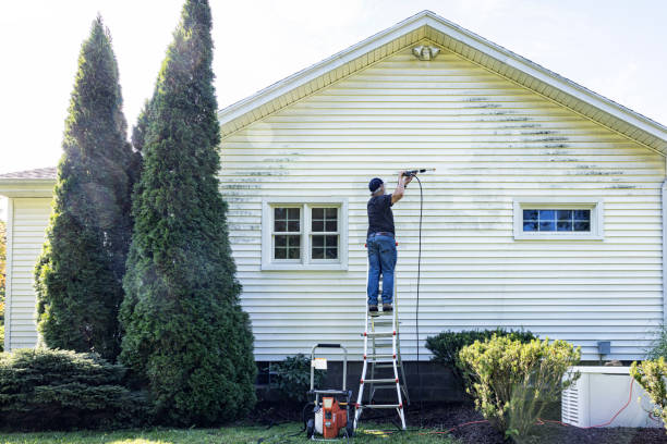 Best Gutter Cleaning  in Union Hall, VA